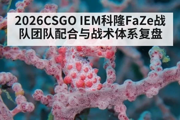 2026CSGO IEM科隆FaZe战队团队配合与战术体系复盘（Yabo）